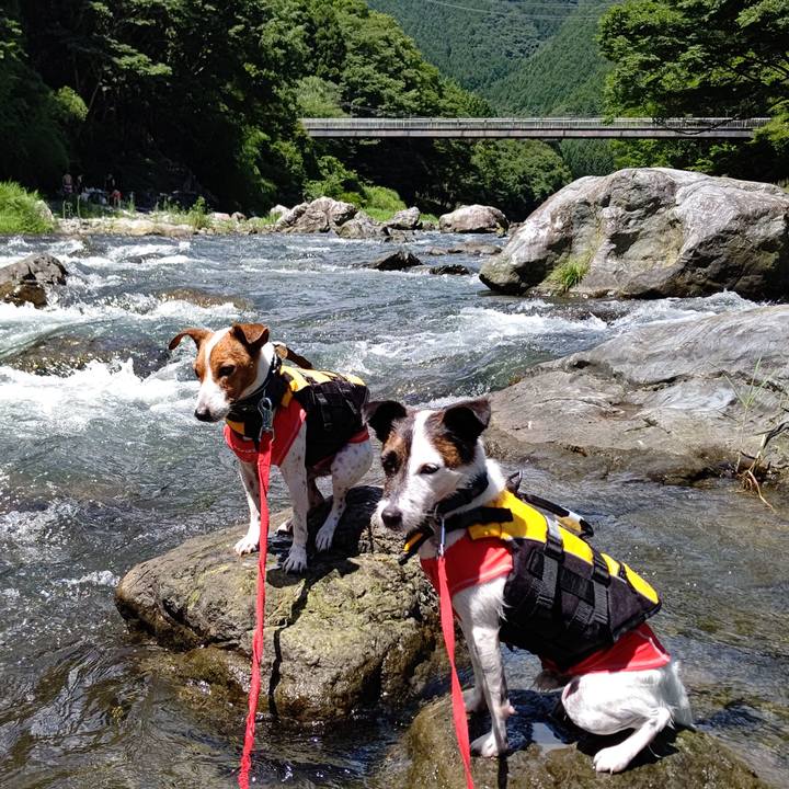 1e1380bf b900 499c a1ab 175e9ba9dfeb 1660204978181