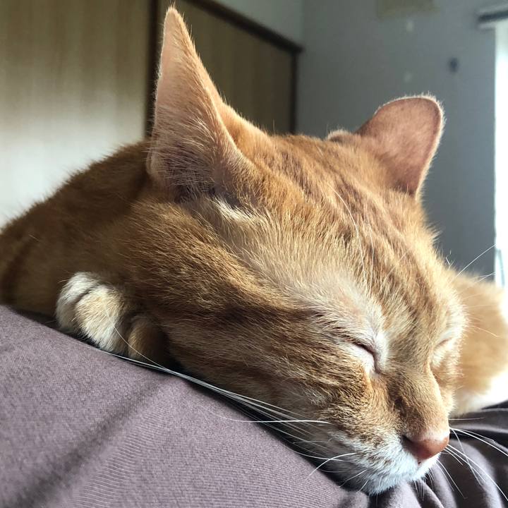 1e138c8d b58f 4107 8cb8 48645e652fd9 1687555316184