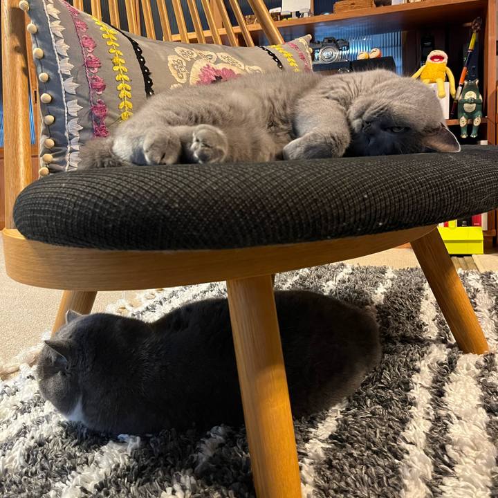 1e13c405 891f 4d12 a07f d0684663d9cf 1669179469770