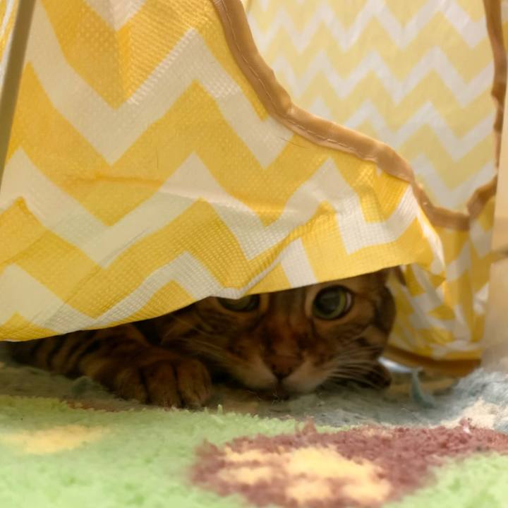 1e13c740 87b7 40ca 8def 95d86324658b 1629064126026