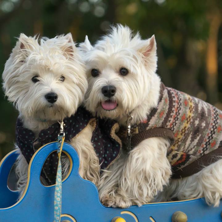 1e13e069 bc78 4515 8481 e4d610178120 1518498154333