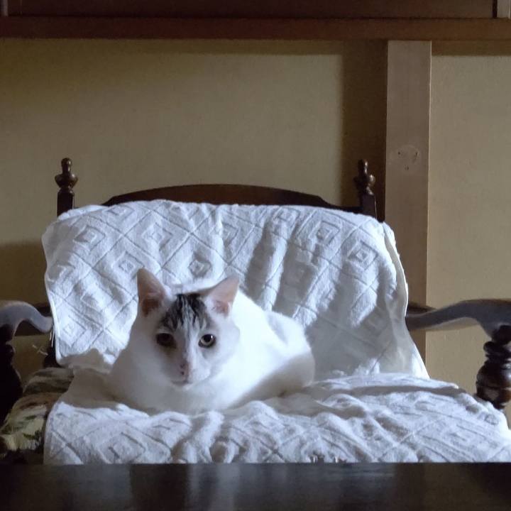 1e1402c5 bf42 47a0 bc86 f6d4cd80dd09 1662259877566