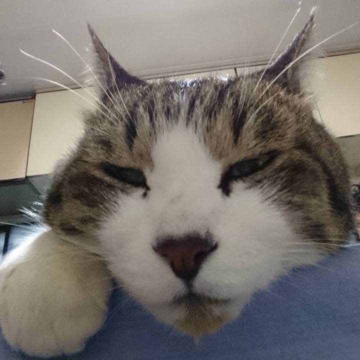 1e1479b7 c109 4e32 93cf 24a93bebef59 1577861285437