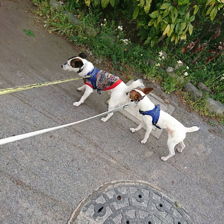 1e14abb6 8b18 43d0 aef1 17deb1728837 1523831069089