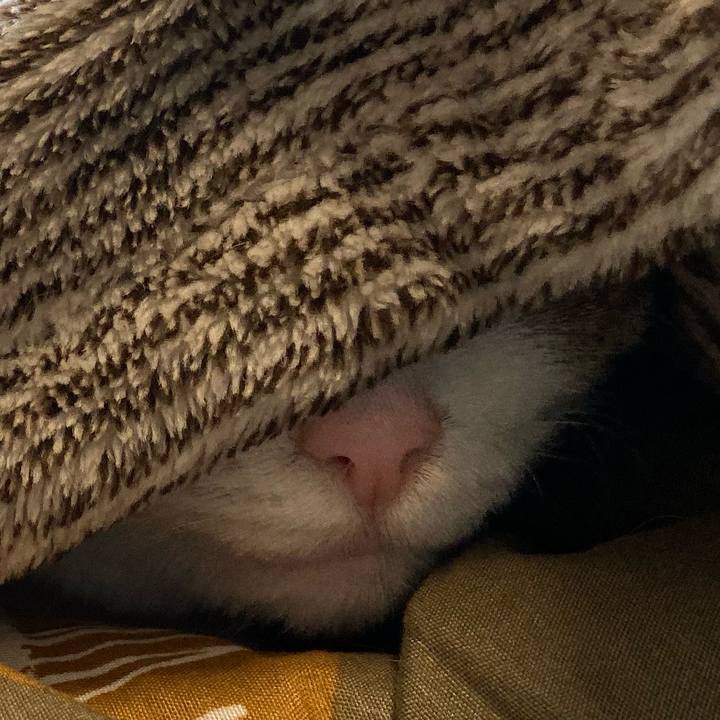 1e14b2cf 8db1 4fd4 9784 8c1f66cbd362 1575762629515