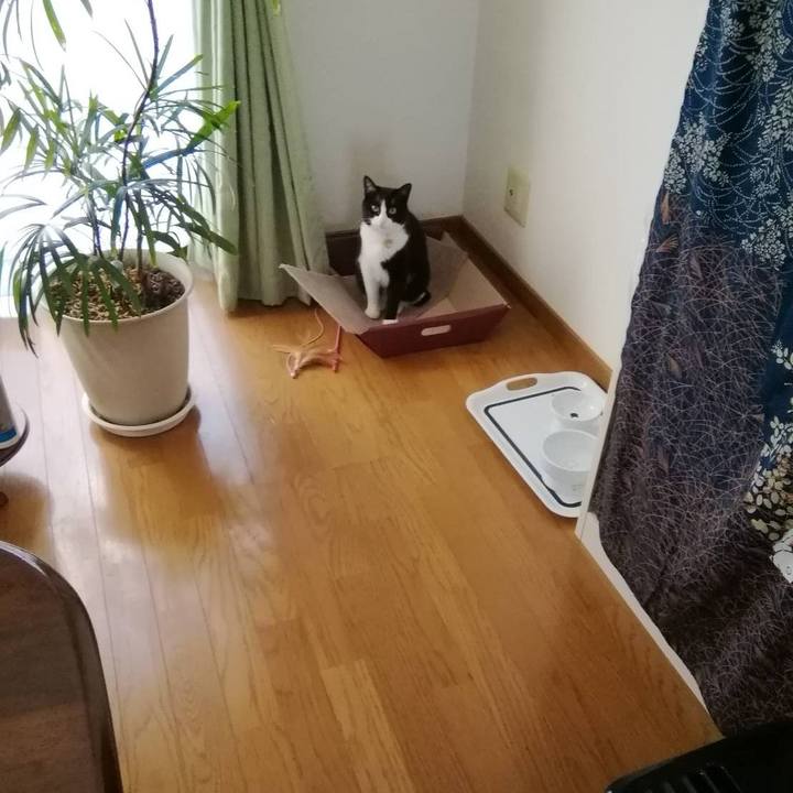 1e14c7b1 91a5 46f4 b36c 57e73111c8bd 1554473321109