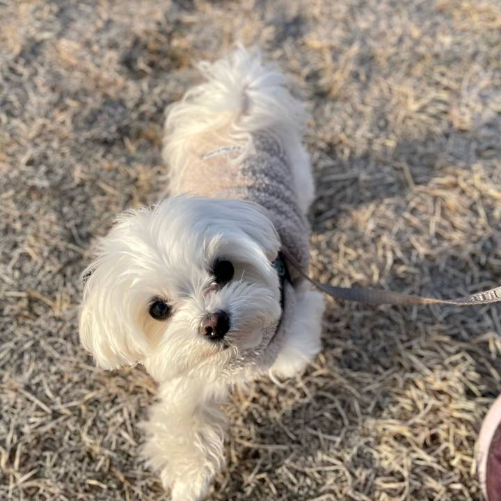 1e14d642 da5d 44f9 afb6 5c169f05f007 1770247334206