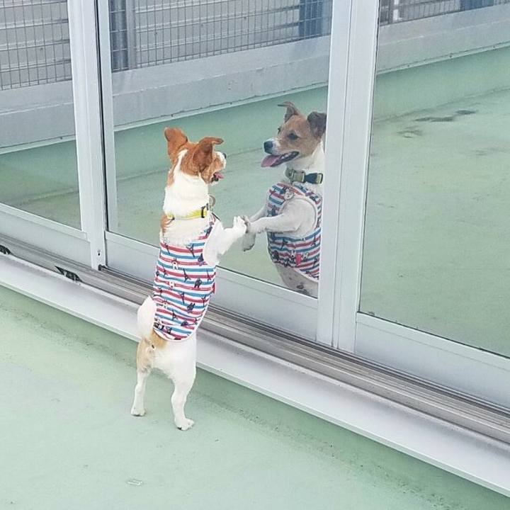 1e14e03b 73b0 47de 8933 b901380bf4a5 1561944661308