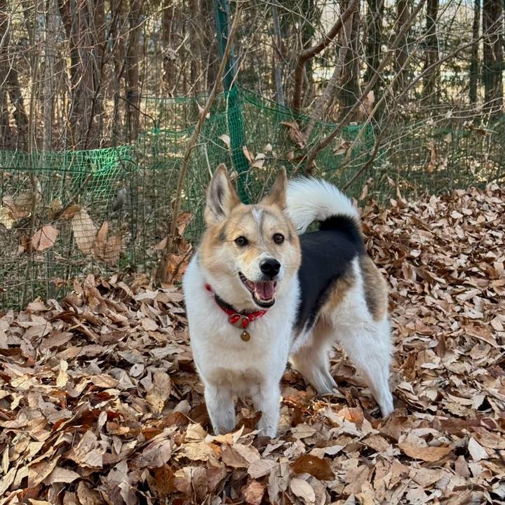 1e14e903 ccfe 469f a6f5 0cb5619e584b 1771126296770