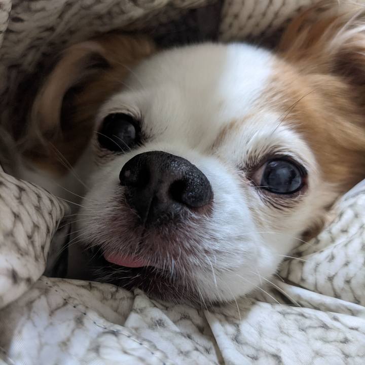 1e14f7a9 2630 4029 9ef9 0e4d8c2524f2 1620437178955