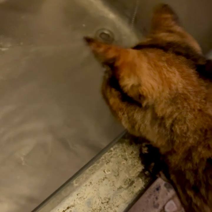 1e1504c5 eabe 4b14 a387 a8f9756720e0 1759782312940