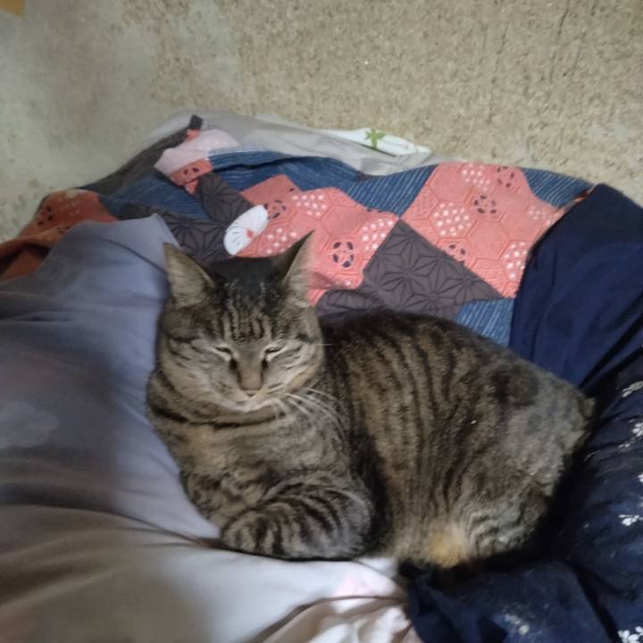 1e1507b9 dc4d 400d 8c38 47e7fc5a09a7 1705792763953