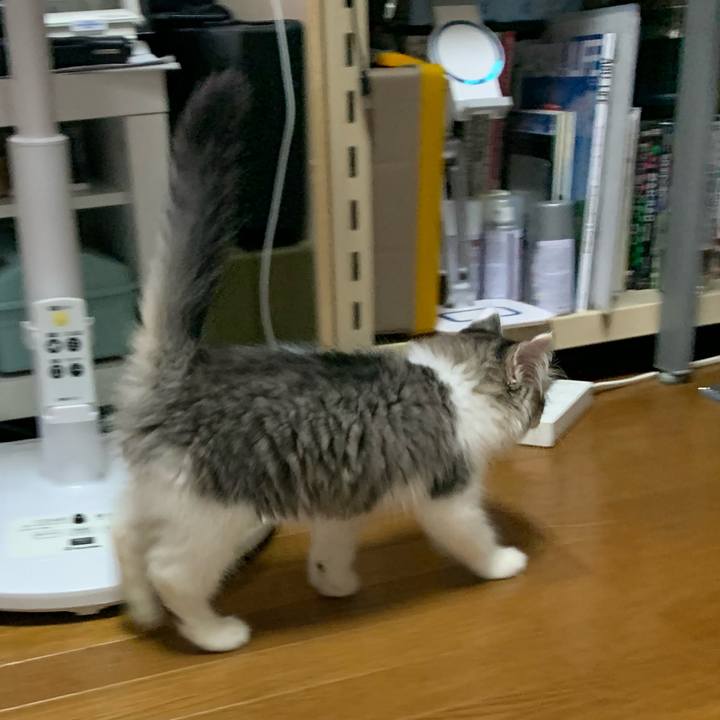 1e1576a9 b27c 468f 9ce4 d611e5e5d7bf 1687931895782