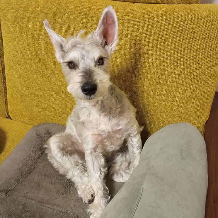 1e1584e7 b803 4dfc 834f 256a9b0a99d5 1771329033509