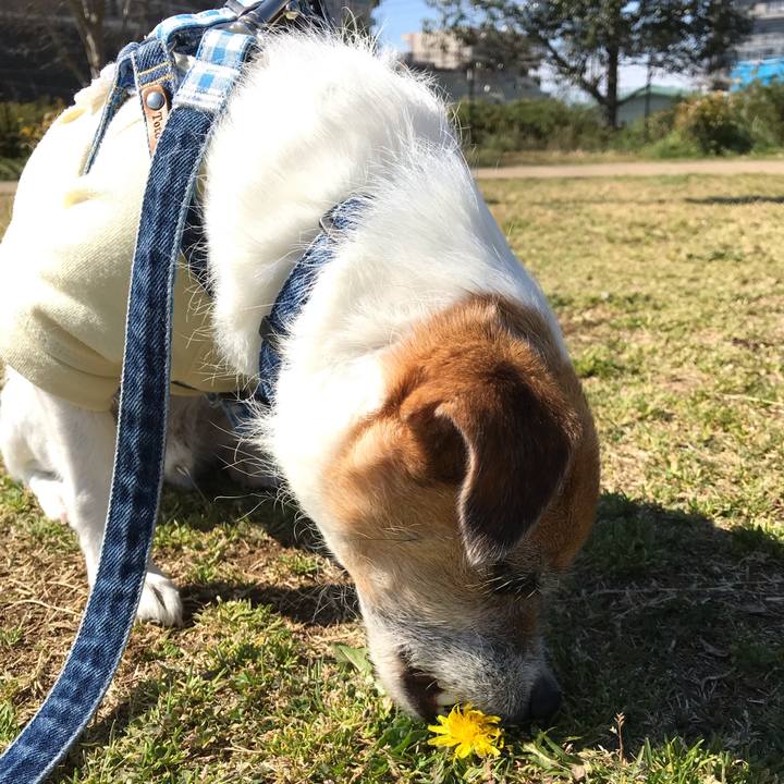 1e15b2bc 4b54 4e0a 861b d5ba00d6adf1 1555374904835