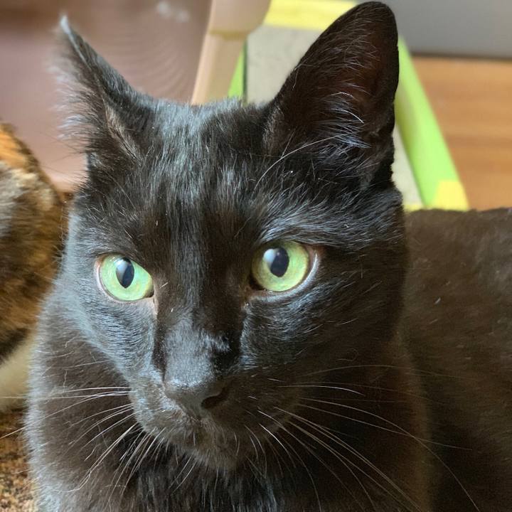 1e160b56 b08a 47ad a34d a83529b6eced 1559436888181