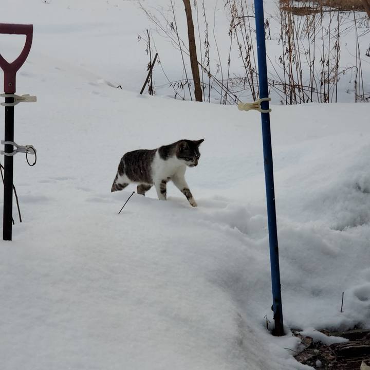 1e161e71 7f97 4c85 9bfe 48fd6b212f23 1744273114502