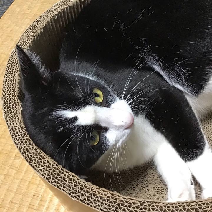 1e162af8 45b2 4caf 8058 9c494e234ed9 1726651510718