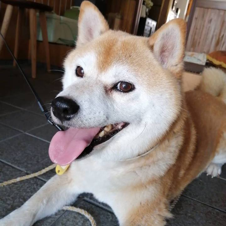 1e162de6 2c5e 4914 934d b4cfed1e95c8 1595565414385