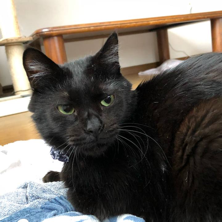 1e163a68 59f3 43ba a58b 05156ccb28b1 1557091301447