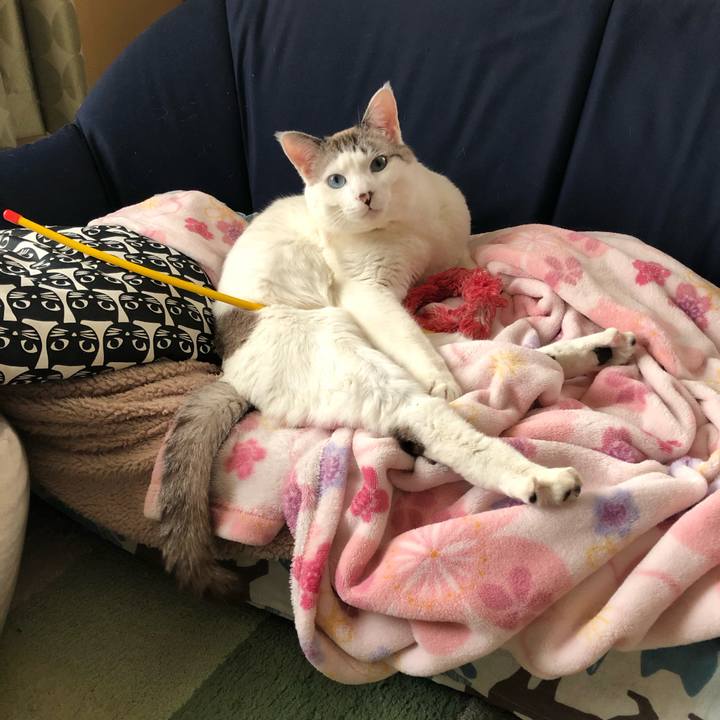 1e163ebe 15ed 4e1b 930c f811a4b976a6 1581562034423