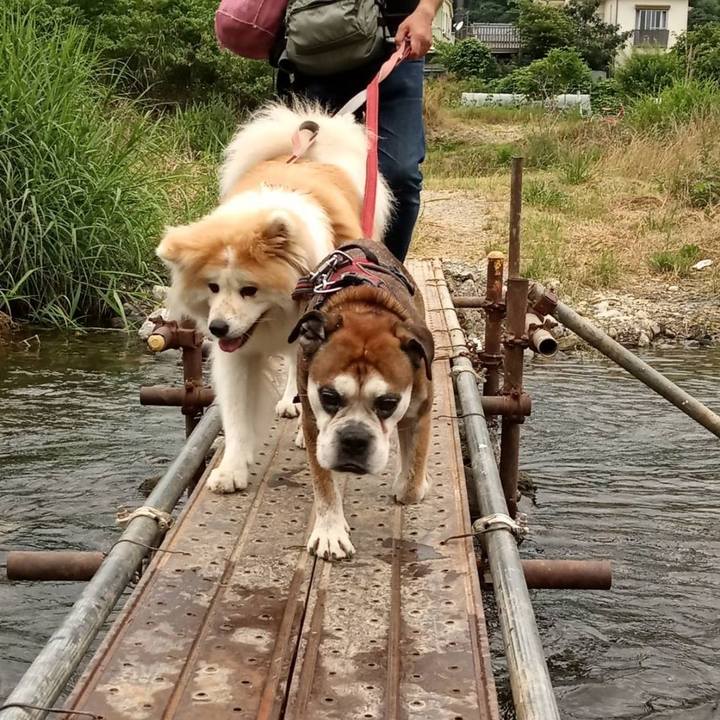 1e16468c 22f8 45d8 9b57 7f2936f88217 1656851087377