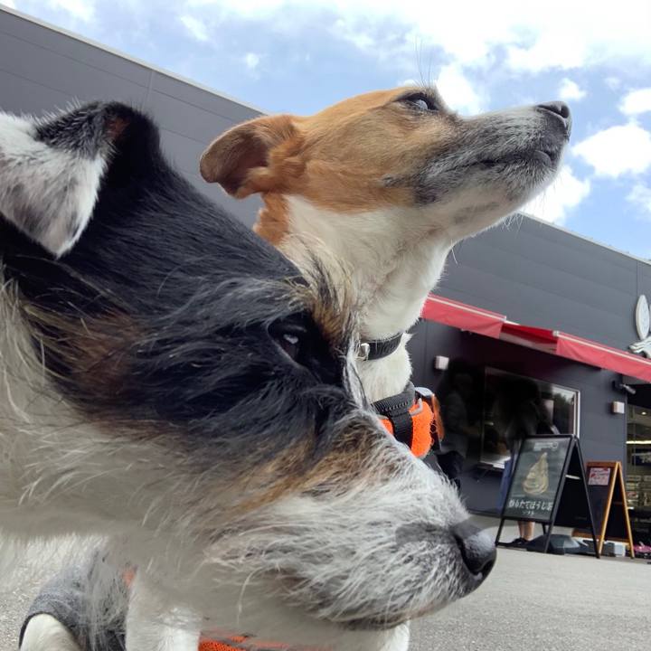 1e16710d 51b8 47e0 82f9 19394192c7d5 1558158907789