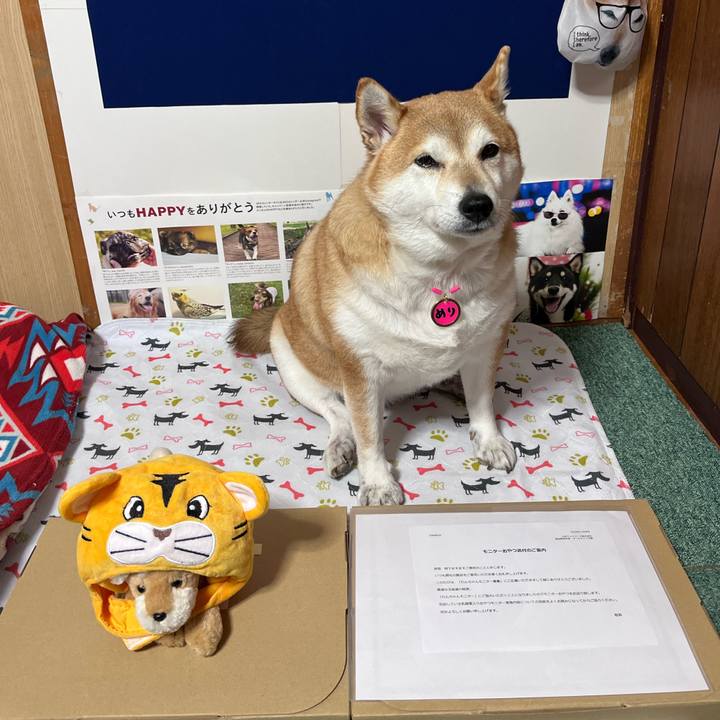 1e16b05b c933 4d9f 9ee4 f30dc2692471 1668672575389