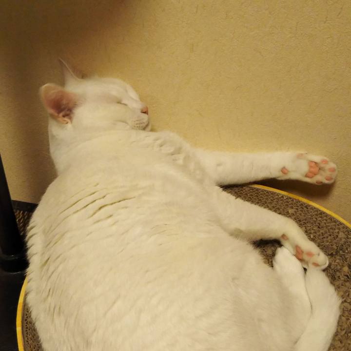 1e16ce3b 3501 4a64 8eaa 624e02e1f39a 1590077193202