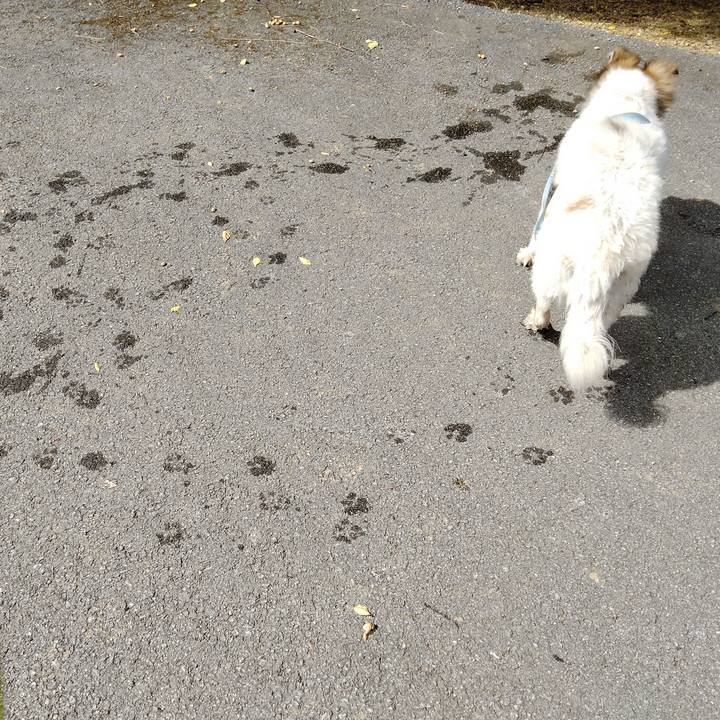 1e16d33e d960 4735 9862 f5889be88fe1 1630409475896