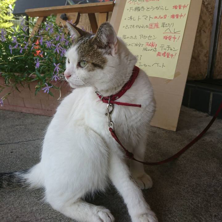 1e16f13c 85ff 4327 b665 3236eddba2ba 1532407800288