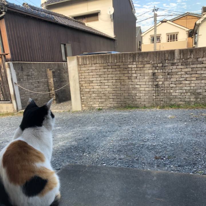 1e1739fd a1d3 4709 b248 c99327b6895f 1604664445474