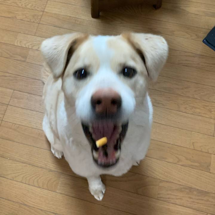 1e1741f9 3b83 4322 95c5 3cf390cd94c0 1582325261225