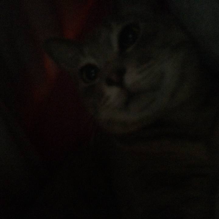 1e175b37 98a7 4dc7 a0f9 e45e6f4d9520 1520687654283