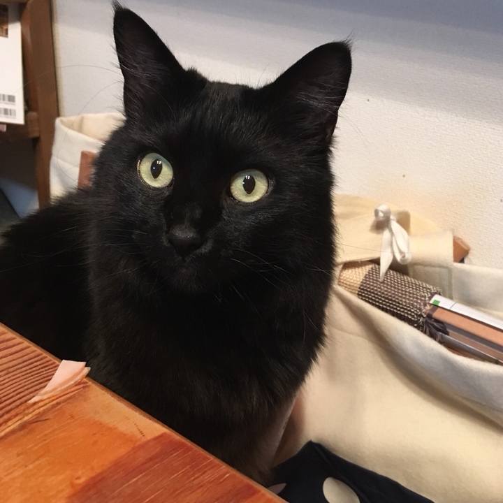 1e178e7a bc32 40f2 aa47 52128563e1dd 1526046136099