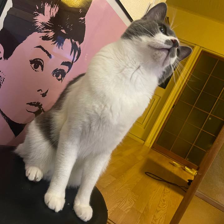 1e17af52 9934 4947 84ce 44dc4155a5c9 1625476175343