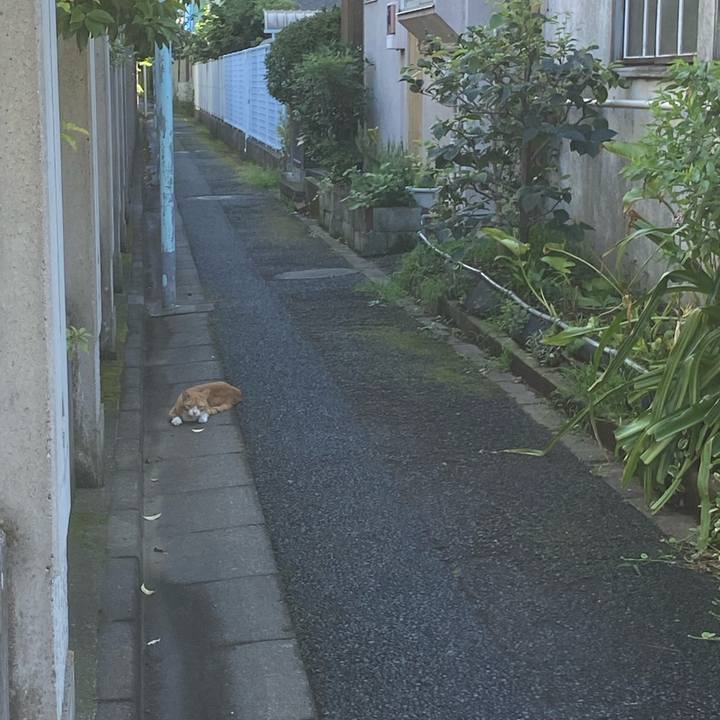 1e17cd32 925b 4874 8edc 46ac4b5758e3 1662813461696