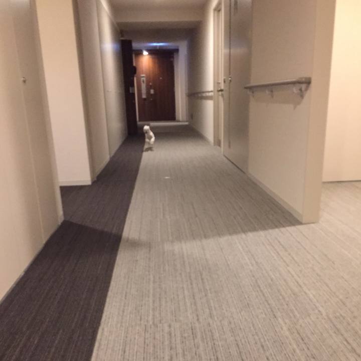 1e1815ff fb35 4cd1 ab4e e85393f9f625 1538754990725