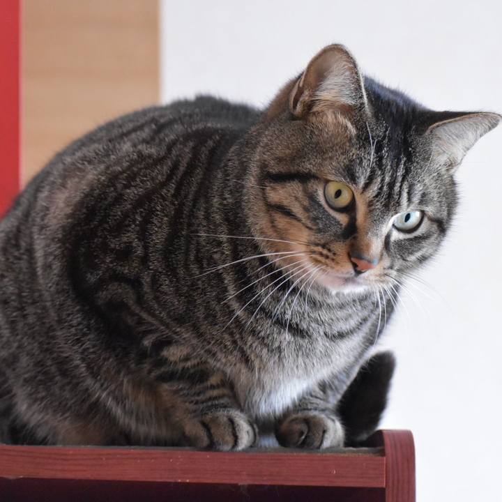 1e18343e 071d 46a3 979e eb914e0eed76 1517879244292