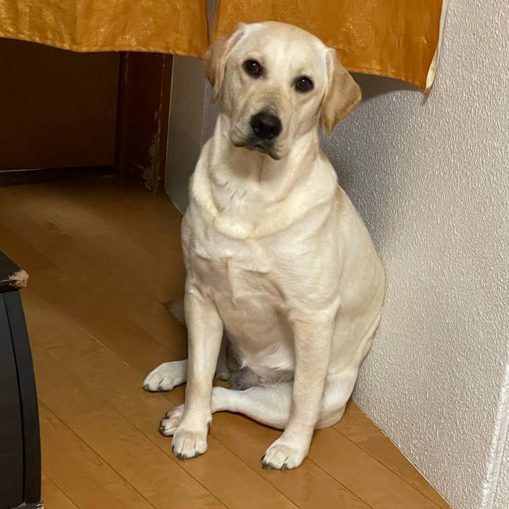 1e1857ea 5a1a 4d75 94df 89ded06529b6 1639697874011