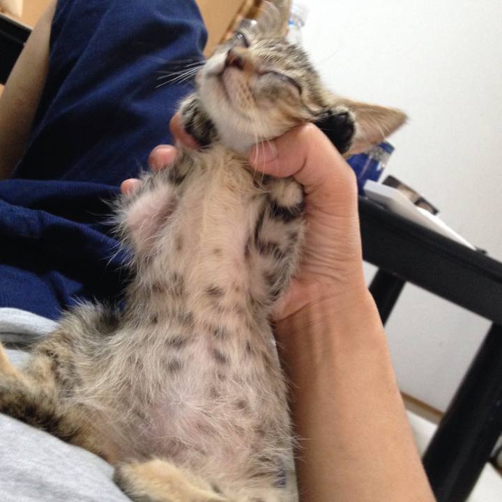 1e187520 e5a1 4e4f 9da8 cb2a9dbb7707 1512975451492