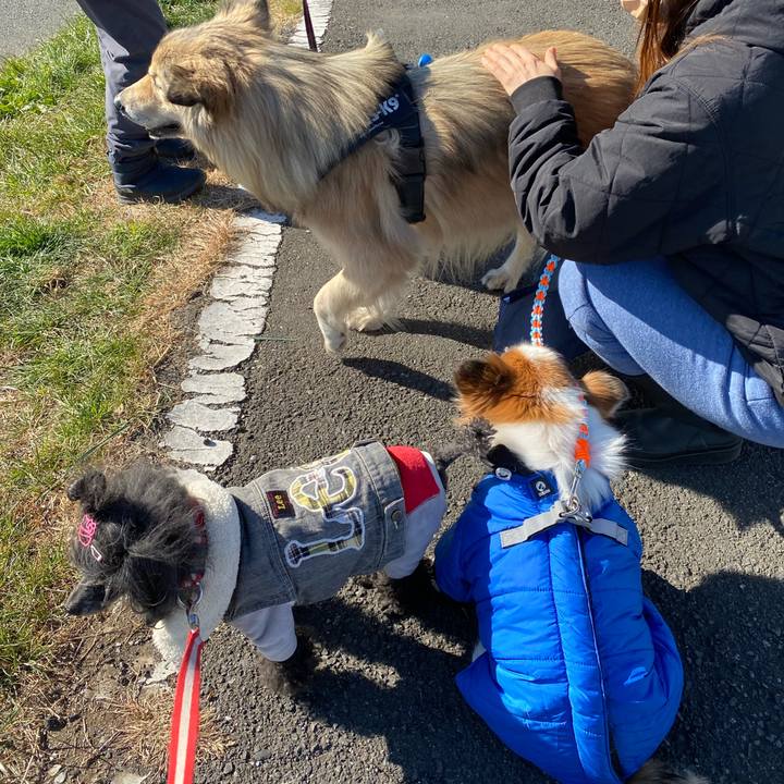 1e187a56 070b 4dff 84d6 0e6794b03fdb 1706053924616