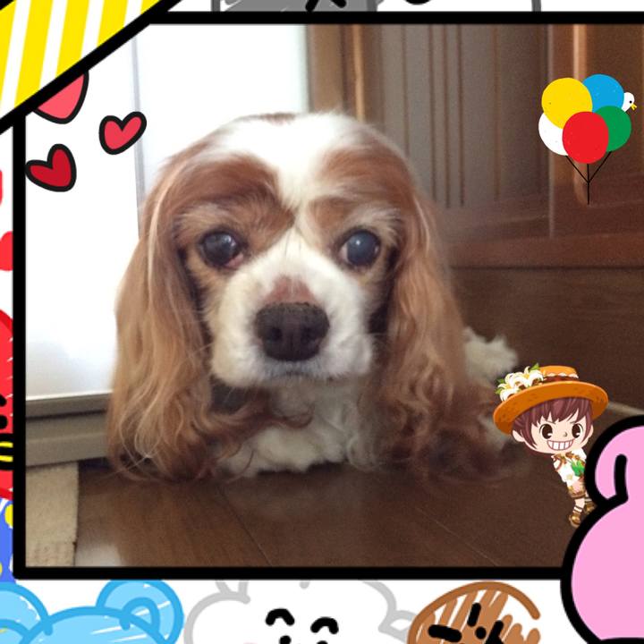 1e18828a 5190 4c73 9a55 39708d583c17 1514499247452