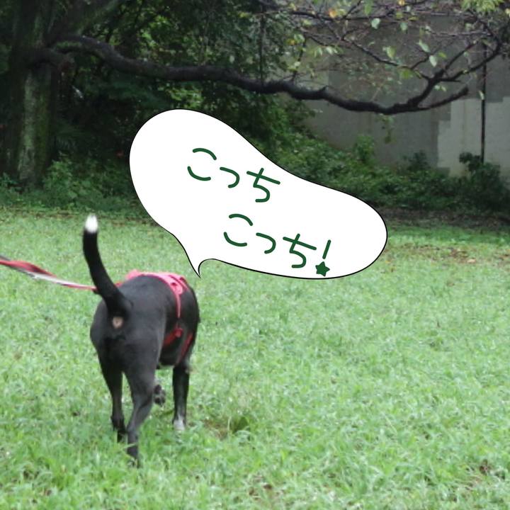 1e1893d9 594f 445c 93ba 3fbc2c018db8 1695427795088