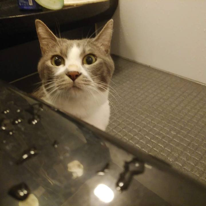 1e189f41 e531 4143 9a39 9d07dea2eb14 1637835592583