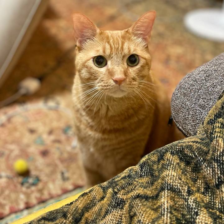 1e18bc1e 26d2 42c8 acc3 bc4c907c88cd 1634028251237