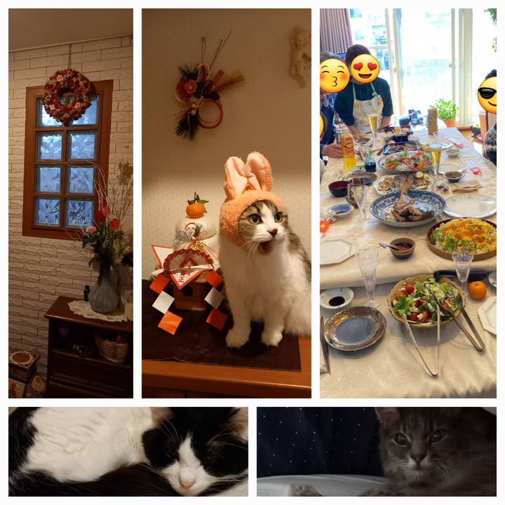 1e190f07 1d69 4dc5 b3e1 7c34ce6bbfcd 1672826255063