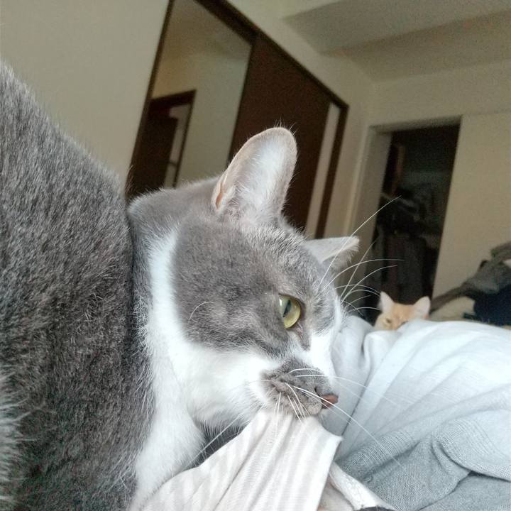 1e192bc7 655a 4229 8934 abaea92e5a90 1644710834234