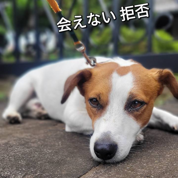 1e1949ac 52e9 4087 9a22 2d9caf1bb0f7 1687476782838