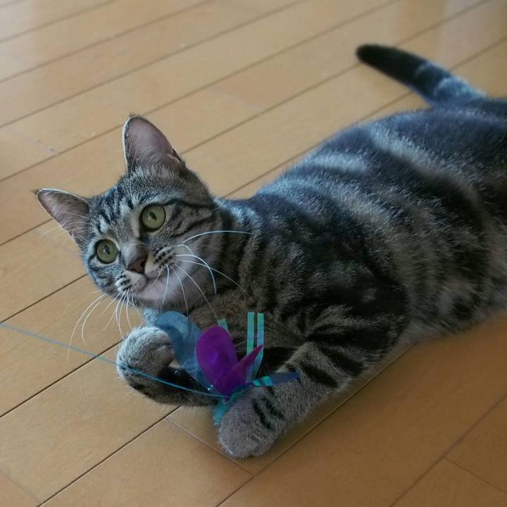 1e1954ca cba8 4e2d 989f b8c7649ba8b1 1527418650521